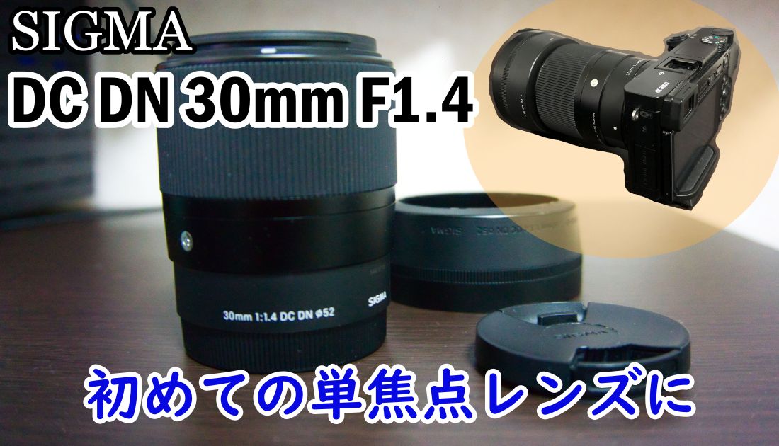 カメラ レンズ(単焦点) 初めての単焦点レンズにオススメ「SIGMA DC DN F1.4 30mm」レビュー
